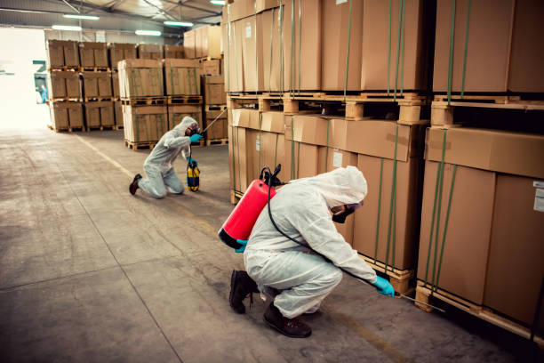 Best Pest Inspection Near Me  in Clinton, WA