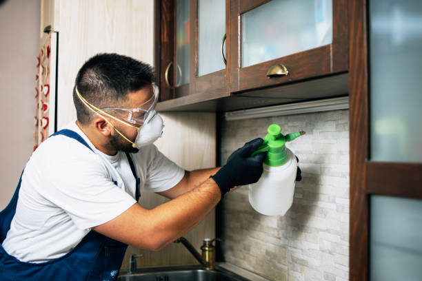 Best Residential Pest Control  in Clinton, WA