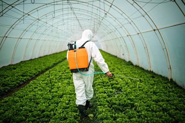 Best Ant Control Services  in Clinton, WA
