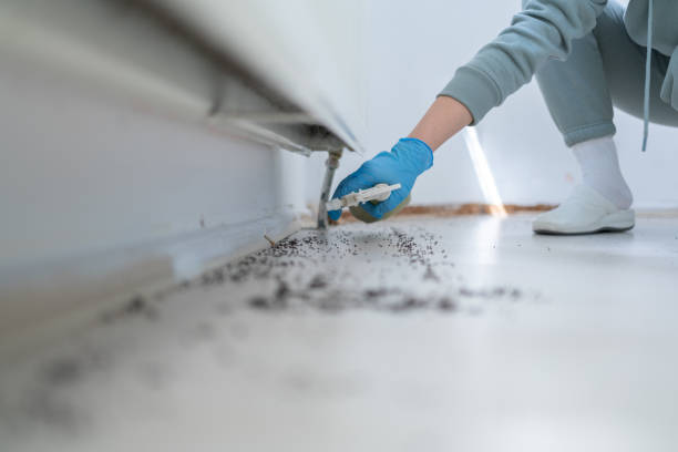 Best Pest Control for Businesses  in Clinton, WA
